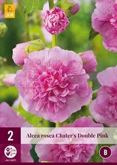 Stokroos wortelstokken kopen, Double Charters Pink Roze | Moestuinland