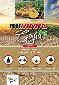 Biologische pootaardappel kopen, Bio aardappel Agria 1kg | Moestuinland