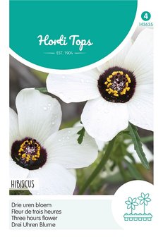 Hibiscus zaden kopen, trionum drie-urenbloem | Moestuinland
