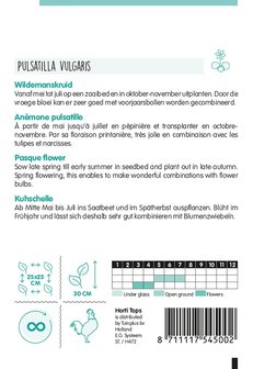 Wildemanskruid zaden zaaien beschrijving | Moestuinland