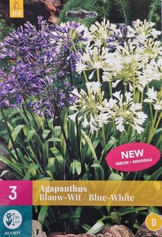 agapanthus mix van blauwe en witte afrikaanse lelie bloembollen