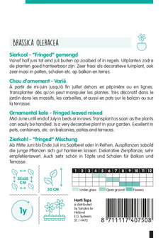 Beschrijving zaaien sierkool mix | Moestuinland