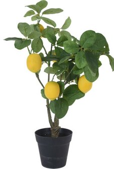 Kunstplant citroen boompje | Moestuinland
