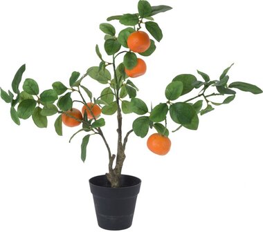 Kunstplant sinaasappel nepplant | Moestuinland