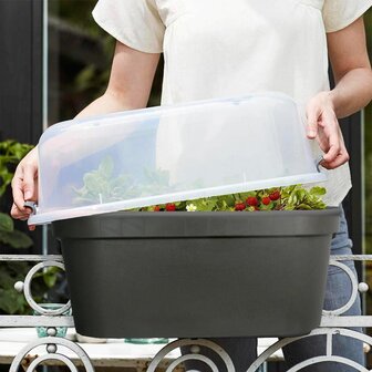 Kweekbak balkon, balkonbak antraciet bestellen online kopen kweekkap tuinieren | Moestuinland