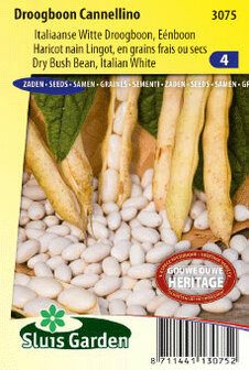 Witte droogboon zaden kopen, Cannellino (100 gram) | Moestuinland