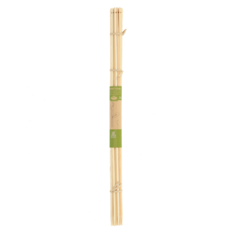 Plantenstokken kopen, bamboe (20 stuks) | moestuinland