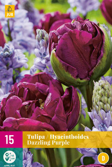 Dazzling Purple bloembollen mix, Tulpen Hyacinthoides | Moestuinland