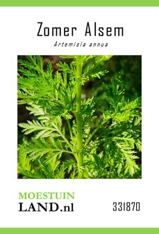 Alsem zaden kopen, Zomer Alsem (Artemisia annua) | Moestuinland