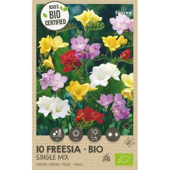 Biologische Freesia bloembollen kopen Single Mix | Moestuinland