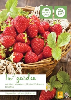 Aardbeiplanten als wortelstok kopen, Elsanta (10 stuks) | Moestuinland