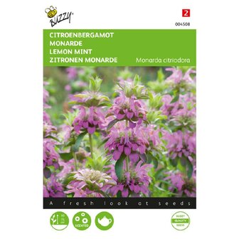Bergamotmint zaden kopen, Citroen Monarda citriodora Purplish Lilac | Moestuinland