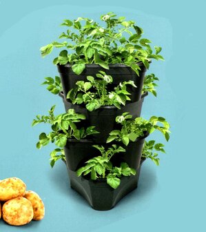 Kweekbak bloempot kopen, Aardappelpot aardbeipot stapelbaar | moestuinland