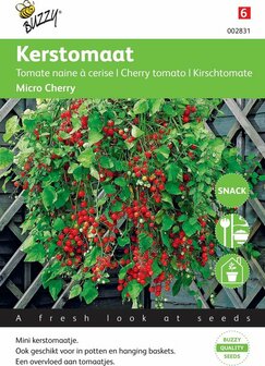 Tomaten zaden kopen, Micro-Cherry Pro Mini | Moestuinland