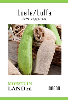 Luffa zaden kopen, Loefa Cylinder Sponscourgette | Moestuinland