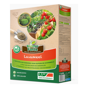 lavameel is een bron van magnesium en silicium 