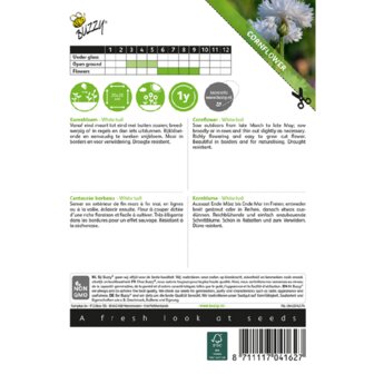 Beschrijving witte korenbloemen zaaien | Moestuinland