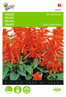 Verpakking Sint Jansvuur rode Salvia zaad | Moestuinland