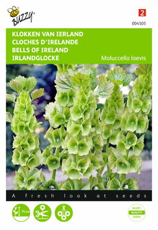 Klokken van Ierland zaden kopen, Moluccella laevis | Moestuinland