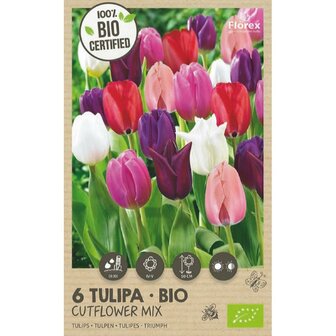 Tulp bloembollen, Tulpen snijbloemen mix (biologisch) | Moestuinland