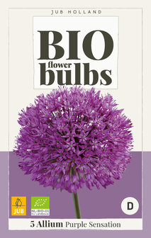 Biologische Allium bloembollen kopen, Purple Sensation | Moestuinland