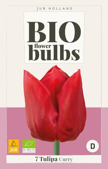 Tulipa Curry, Rode biologische Tulpen bloembollen kopen | Moestuinland