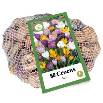 Krokus bloembollen kopen, Mix (60 bollen) | Moestuinland