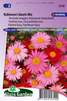 Roze Perzische Margriet zaden, Robinson Giant mix | Moestuinland