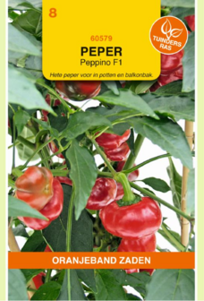 Peper zaden kopen, Peppino F1 | Moestuinland