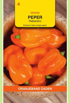 Peper zaden kopen, Oranje Habanero | Moestuinland