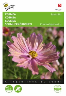 Cosmea zaden kopen, Cosmos Apricotta | Moestuinland