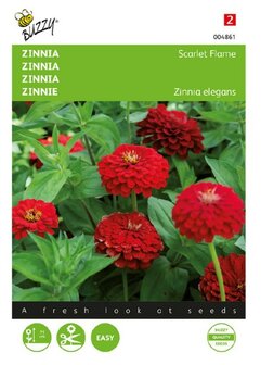 Zinnia zaden bestellen, Scarlet Flame (rood) | Moestuinland