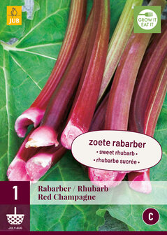 Rabarber wortelstok kopen, Red Champagne (Rheum/Rhubarb) | Moestuinland
