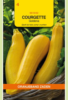 Gele courgette zaden kopen, Goldena | Moestuinland