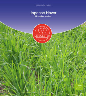 Biologische Japanse Haver zaad bestellen, Avena strigosa | Moestuinland