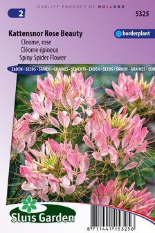 Roze Kattensnor zaden, Rose Beauty (Cleome) | Moestuinland