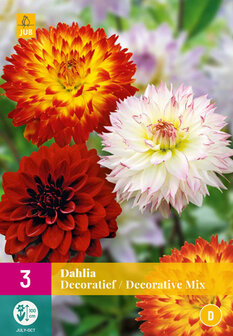 Dahlia knollen kopen, Decorative Mix | Moestuinland