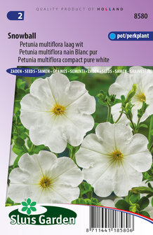 Petunia zaden, Snowball (Multiflora) | Moestuinland