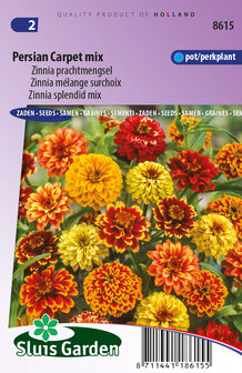 Zinnia zaden kopen, Persian Carpet mix | Moestuinland