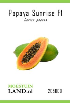 Papaya zaden kopen, Papaja Sunrise F1 | Moestuinland