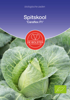 Spitskool zaden kopen, Caraflex F1 (BIO) | Moestuinland