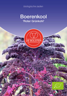 Boerenkool zaden, Roter Gr&uuml;nkohl (BIO) | Moestuinland