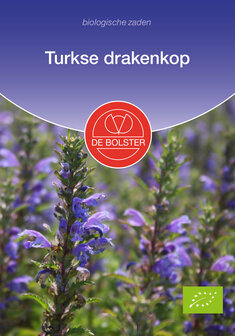 Turkse Drakenkop zaden, Dracocephalum moldavicum (BIO) | Moestuinland