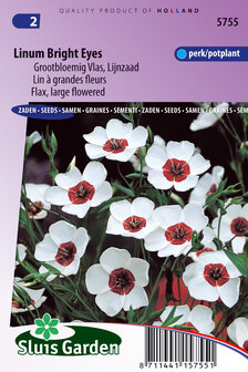 Vlas bloemen zaad kopen, Bright Eyes (Linum) | Moestuinland