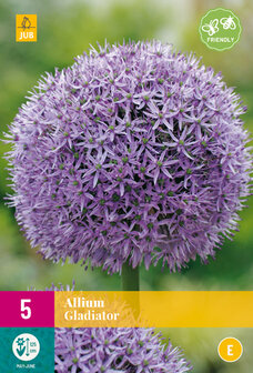 Allium bloembol kopen, Gladiator XXL (Najaar) | Moestuinland