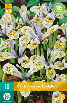 Iris bloembollen kopen, Katharine Hodgkin (10 bloembollen) | Moestuinland