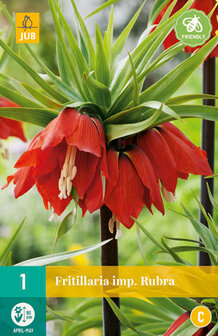 Keizerskroon bloembol kopen, Fritillaria Imperialis Rubra | Moestuinland