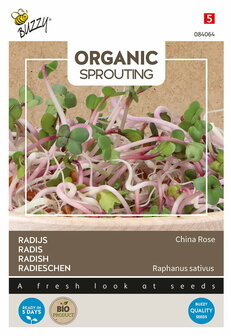 Radijs zaden voor Organic Sprouting kopen (Chinese Rose) | Moestuinland