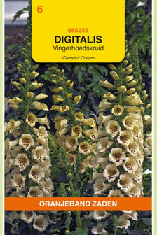 Digitalis zaden kopen, Camelot Cream | Moestuinland