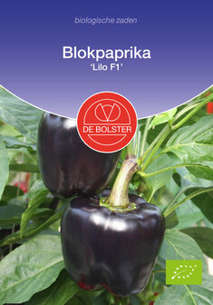 Paprika zaden kopen, Lilo F1 (BIO) Donkerpaars/zwart blokpaprika | Moestuinland